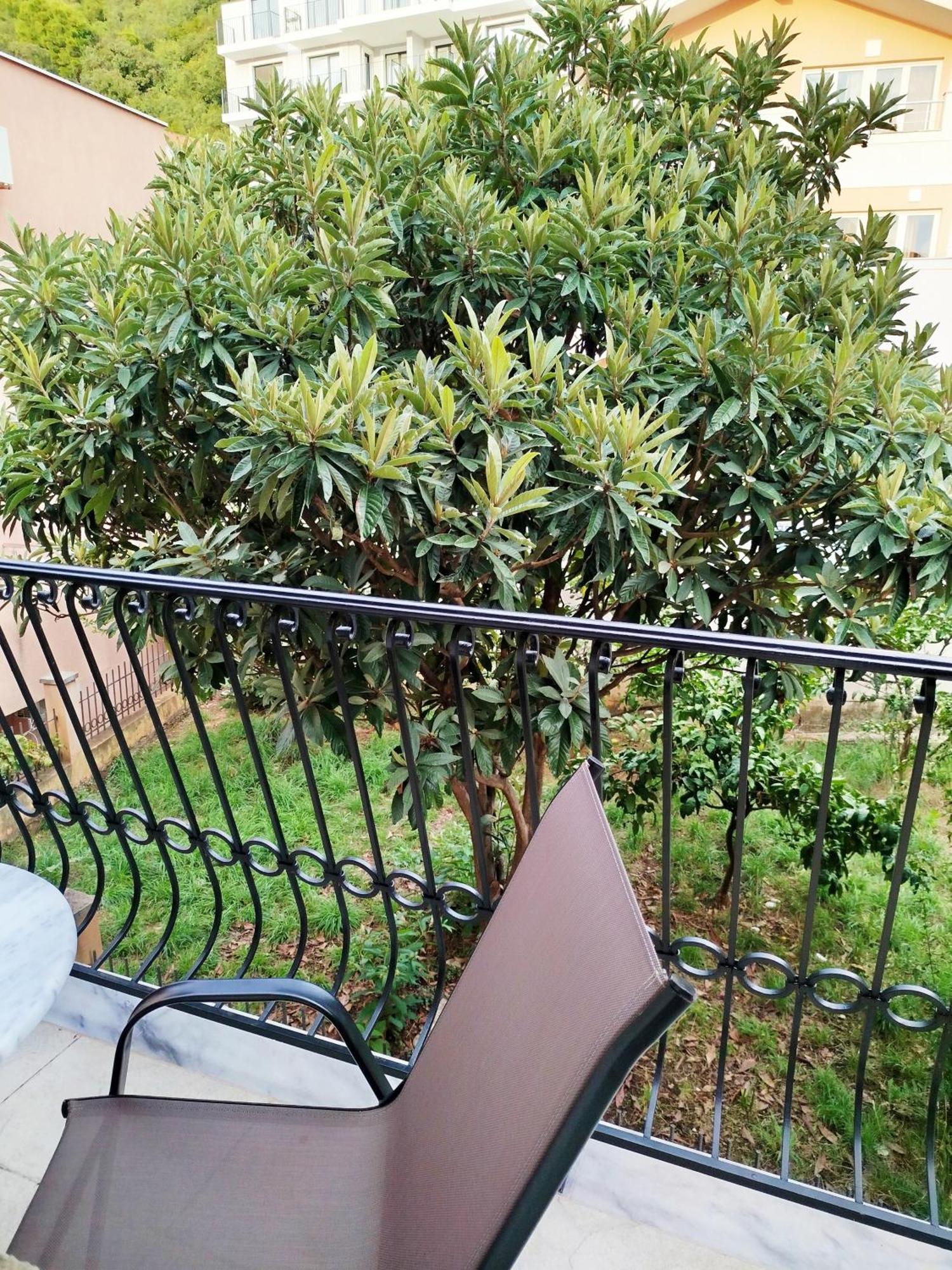 בודווה Mijovic Apartments מראה חיצוני תמונה